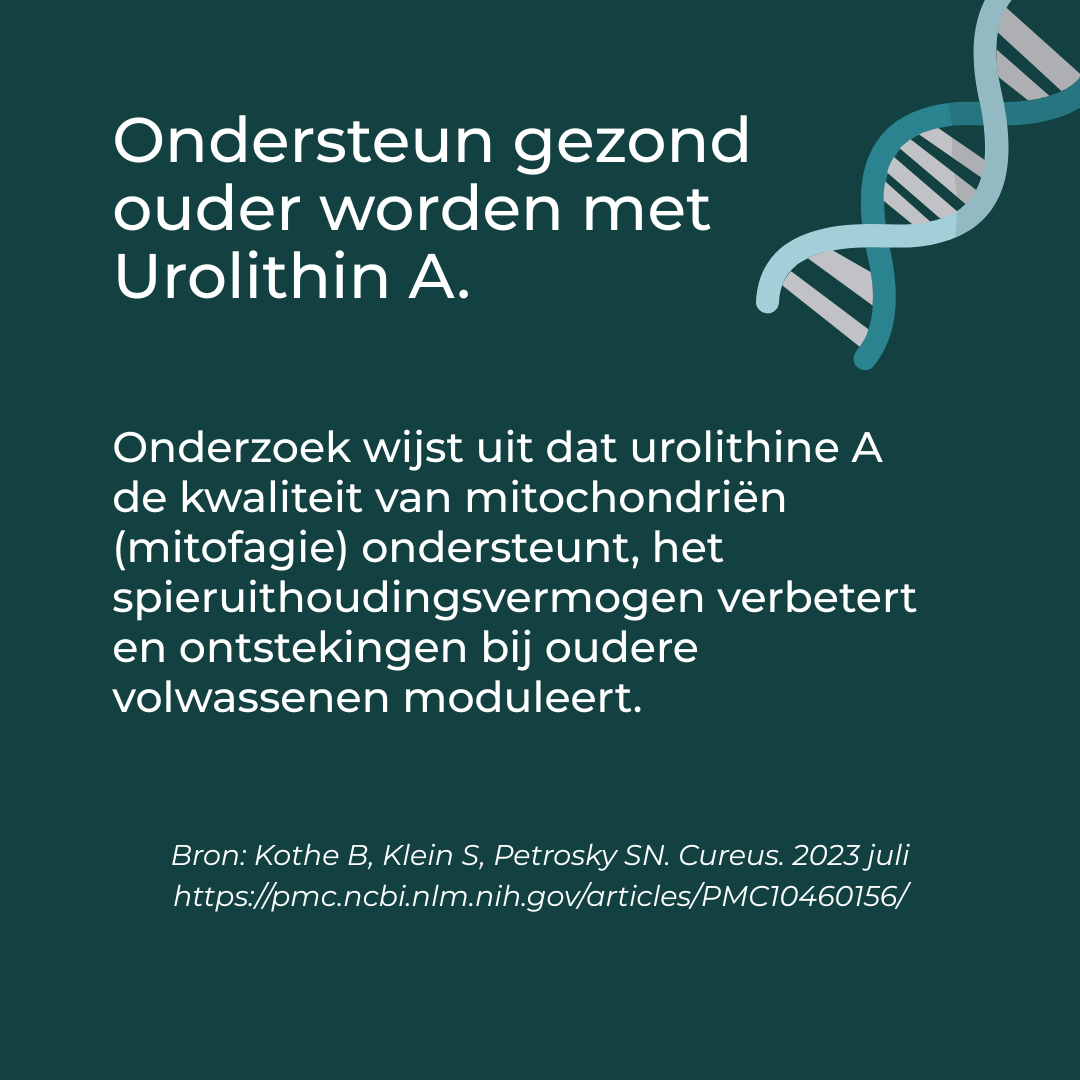 Produktbillede 8